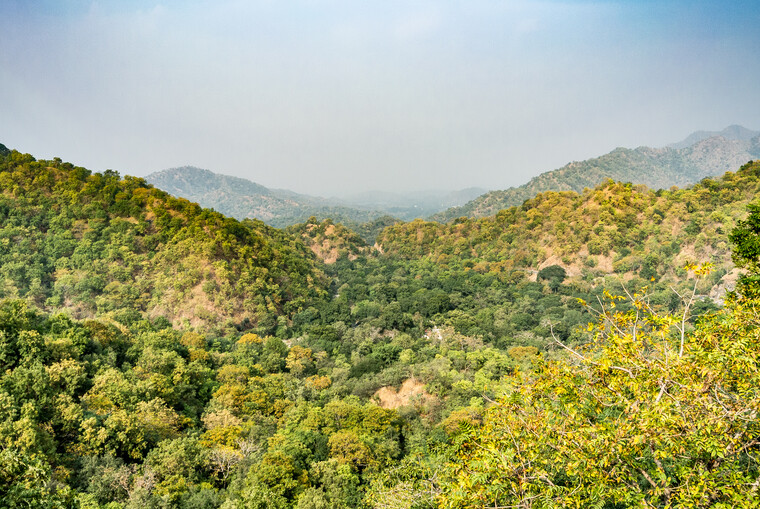 India 2014 - Udaipur 013.jpg